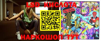гашик Гатчина